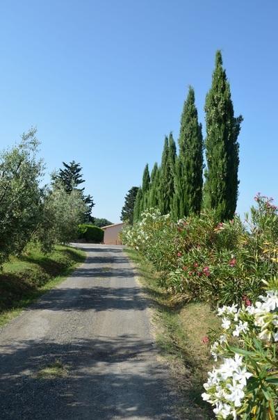 Agriturismo Rosa Dei Venti Pomarance Bagian luar foto